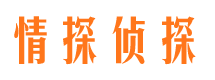 城关市侦探公司